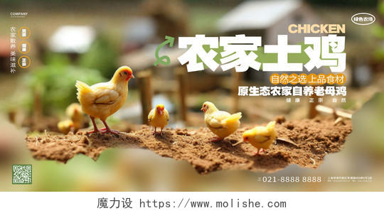 创意大气农家土鸡养鸡场农场宣传展板AI